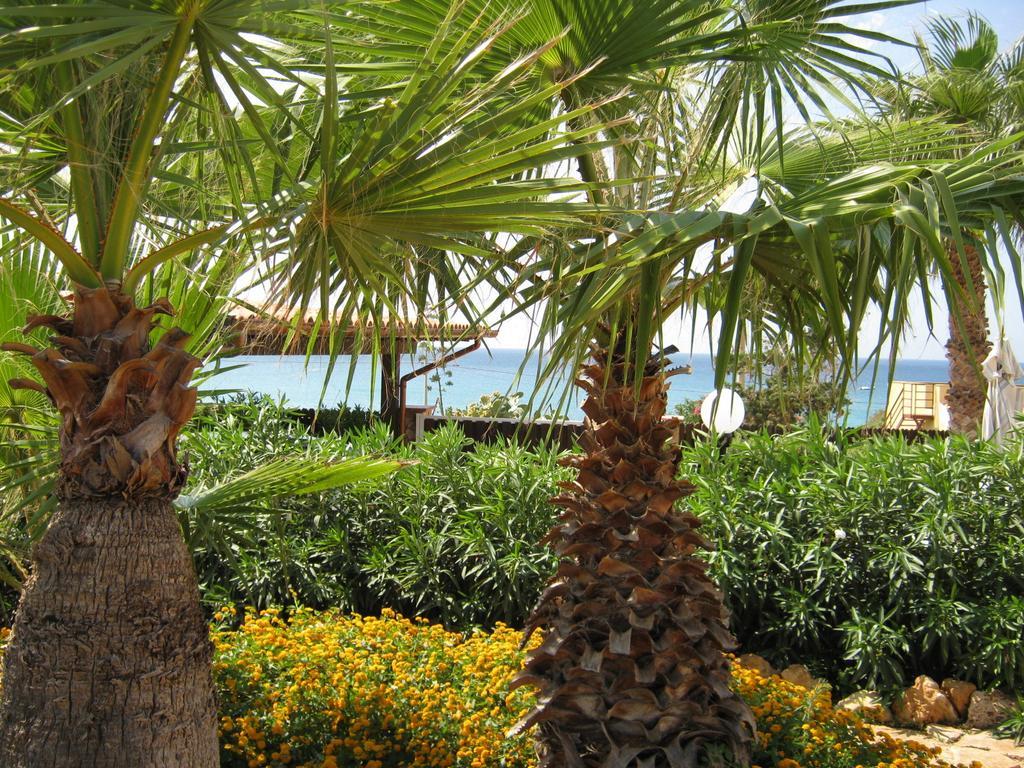 Villa Baia Di Cornino Кустоначи Стая снимка