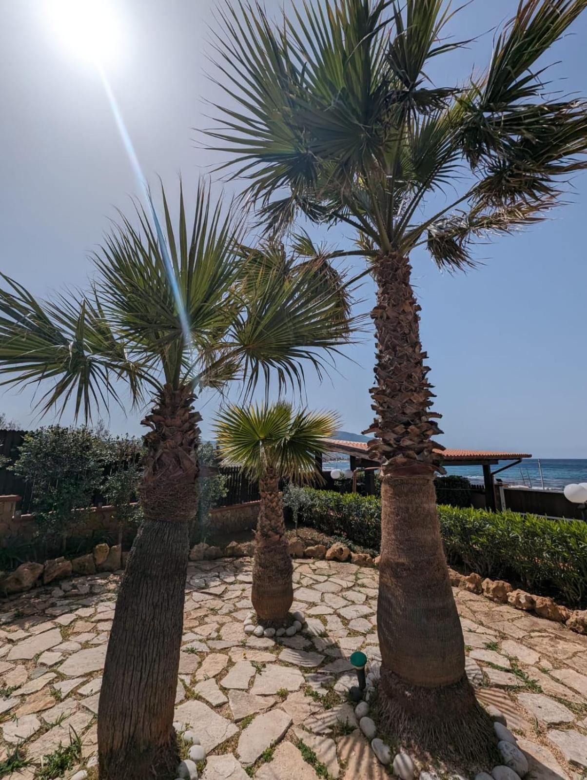 Villa Baia Di Cornino Кустоначи Екстериор снимка